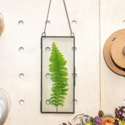 Hanging 4x9 Inches Black Long Herbarium Painted Brass Glass Frame For Pressed Flowers Dried Flowers 15 Hanging 4x9 Inches Black Long Herbarium Painted Brass Glass Frame For Pressed Flowers Dried Flowers -Ncyp Garden Store 02349