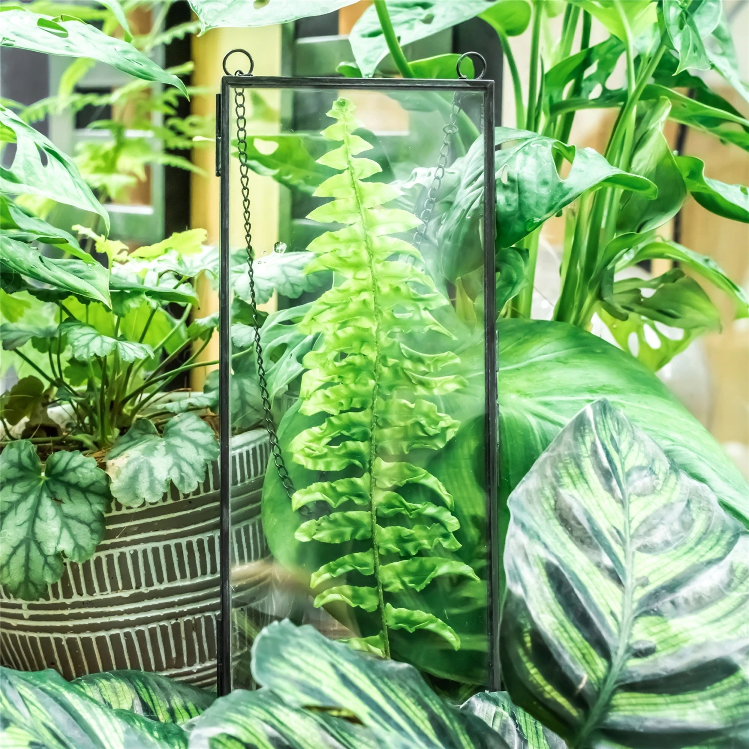 Hanging 4x9 Inches Black Long Herbarium Painted Brass Glass Frame For Pressed Flowers Dried Flowers 3 Hanging 4x9 Inches Black Long Herbarium Painted Brass Glass Frame For Pressed Flowers Dried Flowers