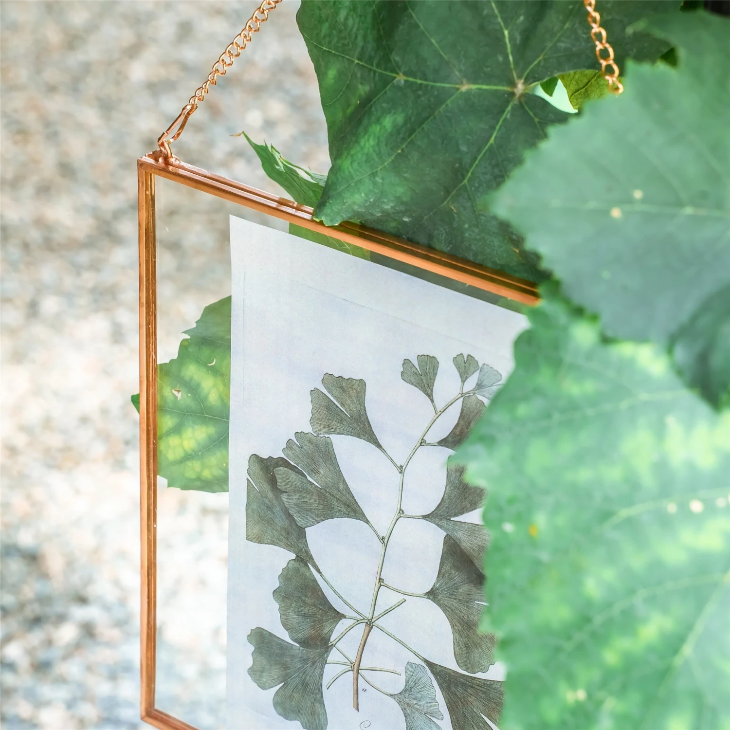 Handmade Large Wall Hanging Pure Copper Glass Artwork Certificate Photo Display Floating Frame 10 Handmade Large Wall Hanging Pure Copper Glass Artwork Certificate Photo Display Floating Frame - Image 9