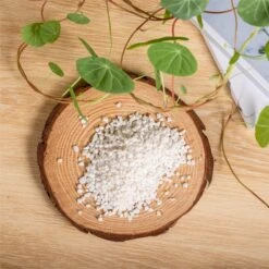 Decorative White Pebble Rocks For Succulents Top Dressing, For Terrarium, Fairy Gardening 13 Decorative White Pebble Rocks For Succulents Top Dressing, For Terrarium, Fairy Gardening -Ncyp Garden Store 1962