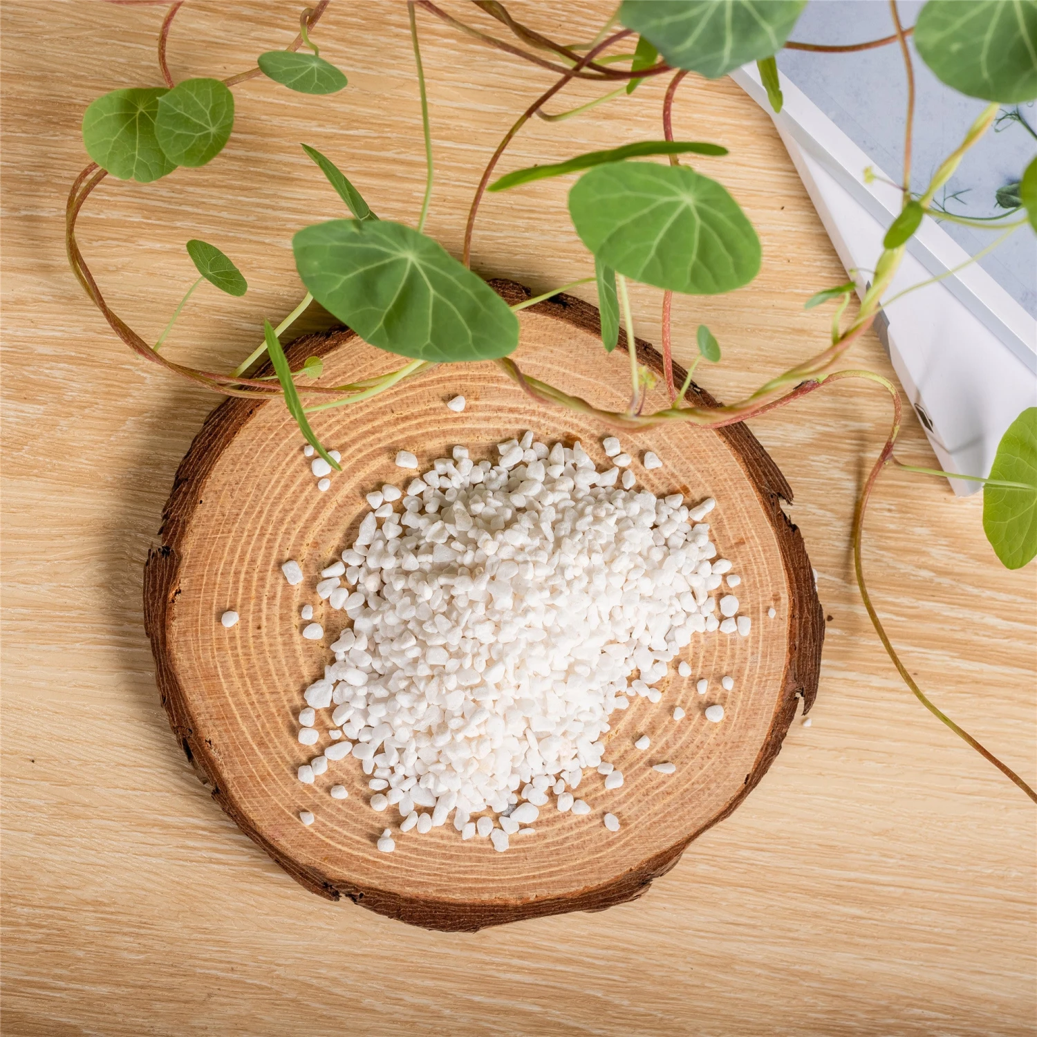 Decorative White Pebble Rocks For Succulents Top Dressing, For Terrarium, Fairy Gardening 7 Decorative White Pebble Rocks For Succulents Top Dressing, For Terrarium, Fairy Gardening - Image 5