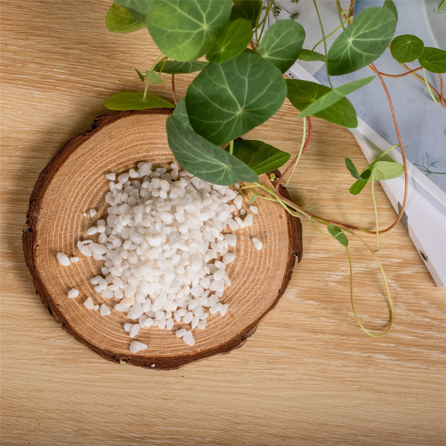 Decorative White Pebble Rocks For Succulents Top Dressing, For Terrarium, Fairy Gardening 8 Decorative White Pebble Rocks For Succulents Top Dressing, For Terrarium, Fairy Gardening - Image 6