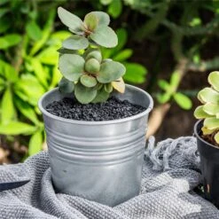 Decorative Black Galaxy Rocks Quartz Sand For Succulents Top Dressing, Terrarium, Fairy Gardening 13 Decorative Black Galaxy Rocks Quartz Sand For Succulents Top Dressing, Terrarium, Fairy Gardening -Ncyp Garden Store 1 ed80c980 42c4 48cb a97a cce72f39e94f