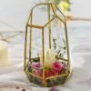 Handmade 25cm Irregular Tall Open Glass Geometric Terrarium Container For Succulents Wedding -Ncyp Garden Store 20150620003 7