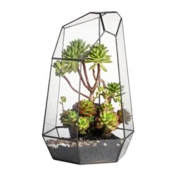 Handmade 41cm / 16" Tall Irregular Open Glass Geometric Terrarium Box For Succulent Moss Airplants 24 Handmade 41cm / 16" Tall Irregular Open Glass Geometric Terrarium Box For Succulent Moss Airplants -Ncyp Garden Store 20150620003 8