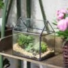 NCYP Vintage House Geometric Terrarium Tin Sealed Chest Planter Succulent Centerpiece Wedding 1 NCYP Vintage House Geometric Terrarium Tin Sealed Chest Planter Succulent Centerpiece Wedding -Ncyp Garden Store 20150620005 9