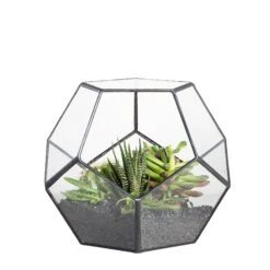 Handmade Tabletop Polyhedron Glass Geometric Terrarium For Succulent Fern Moss Air Plant 31 Handmade Tabletop Polyhedron Glass Geometric Terrarium For Succulent Fern Moss Air Plant -Ncyp Garden Store 20150713033S 4