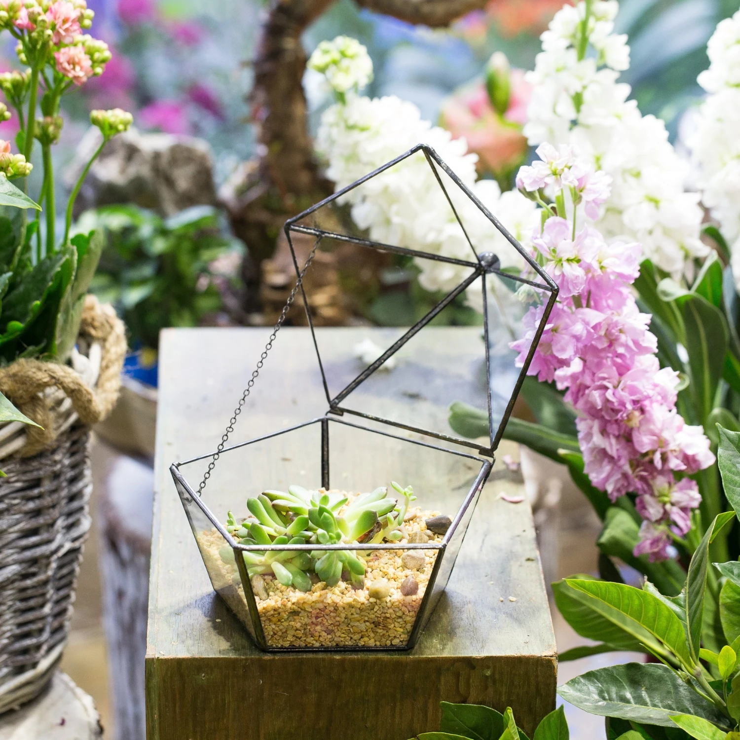 Modern Succulent Plant Glass Geometric Container Desktop Flower Pot For Succulents Flower 10 Modern Succulent Plant Glass Geometric Container Desktop Flower Pot For Succulents Flower - Image 8