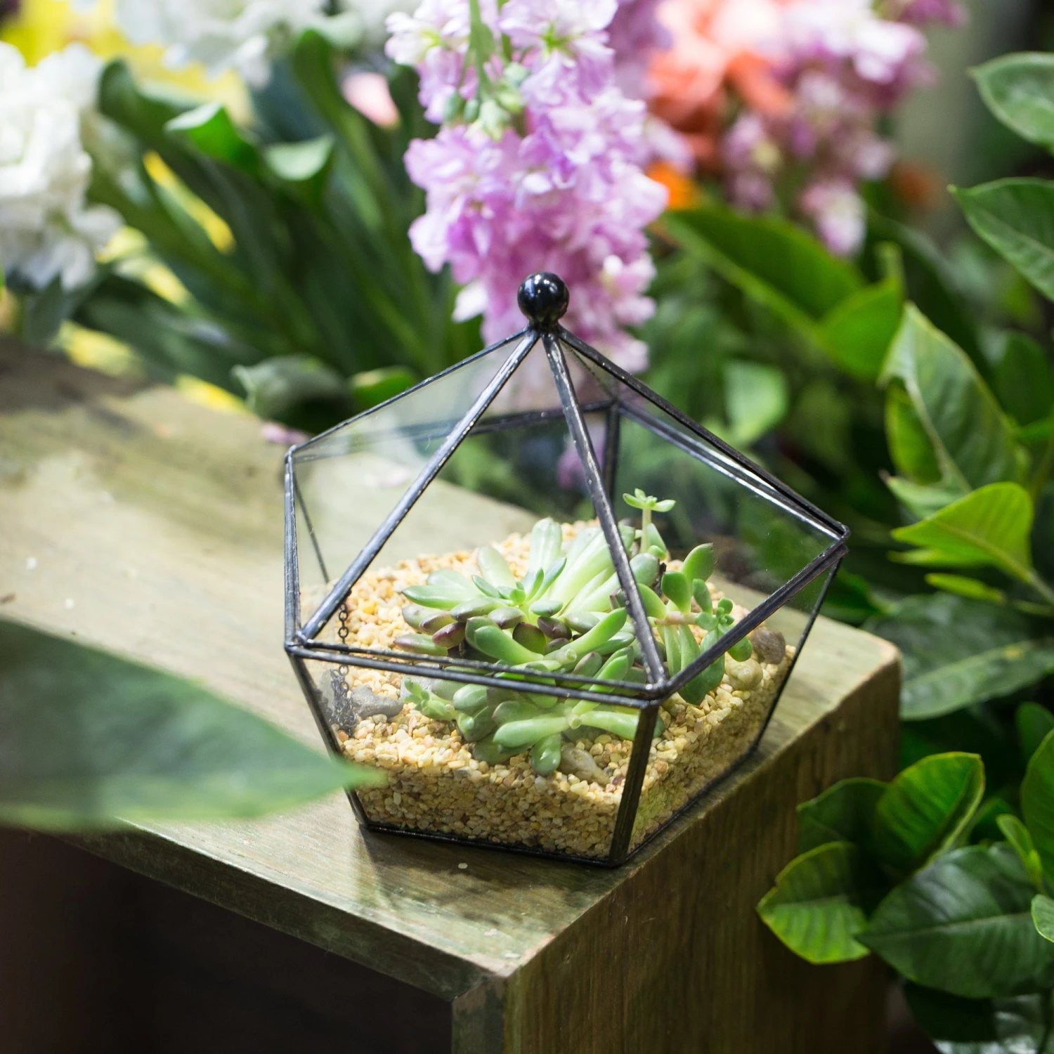 Modern Succulent Plant Glass Geometric Container Desktop Flower Pot For Succulents Flower 5 Modern Succulent Plant Glass Geometric Container Desktop Flower Pot For Succulents Flower - Image 3