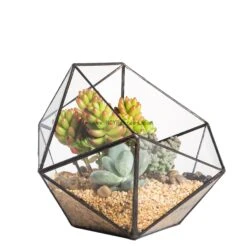 Handmade Bowl Shape Geometric Glass Terrarium Pot For Plants Succulent Moss Miniature Airplants -Ncyp Garden Store 20160218031 6 45a320df dd1c 4856 963a 9815228896d2