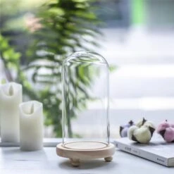 Glass Dome With LED Light Wood Base Cloche Bell For Rose Model Figurine Flowers Centerpiece -Ncyp Garden Store 20190227003 7