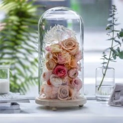 Handmade Glass Dome With LED Light Wood Base Cloche Bell Round For Rose Model Figurine Flowers -Ncyp Garden Store 20190227011 13