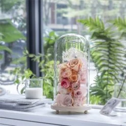 Handmade Glass Dome With LED Light Wood Base Cloche Bell Round For Rose Model Figurine Flowers -Ncyp Garden Store 20190227011 5