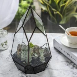 NCYP Irregular Open Geometric Glass Terrarium For Succulents Planter Pot Dessert Landscape Bonsai -Ncyp Garden Store 20190315012 1