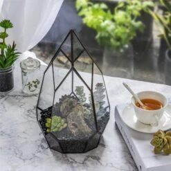 NCYP Irregular Open Geometric Glass Terrarium For Succulents Planter Pot Dessert Landscape Bonsai -Ncyp Garden Store 20190315012 7