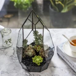 NCYP Irregular Open Geometric Glass Terrarium For Succulents Planter Pot Dessert Landscape Bonsai -Ncyp Garden Store 20190315012 8 2fecc211 e11e 4028 9398 0002b16005d0
