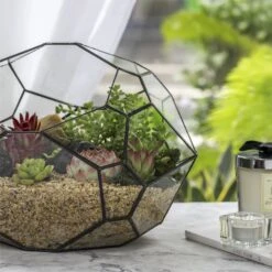 NCYP Irregular Open Geometric Glass Terrarium Bubble Shape For Succulents Landscape Bonsai -Ncyp Garden Store 20190418001 3