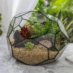NCYP Irregular Open Geometric Glass Terrarium Bubble Shape For Succulents Landscape Bonsai -Ncyp Garden Store 20190418001 4