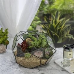 NCYP Irregular Open Geometric Glass Terrarium Bubble Shape For Succulents Landscape Bonsai -Ncyp Garden Store 20190418001 5