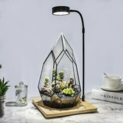 NCYP Tabletop Board USB LED Succulents Grow Light Display Indoor Terrarium For Succulents Moss -Ncyp Garden Store 20190508002 2