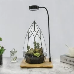 NCYP Tabletop Natural Wood Board LED Succulents Grow Light Display Indoor 2prong 7W For Geometric Glass Terrarium Succulent Fern Bonsai -Ncyp Garden Store 20190508002 3 3c51fc3e e621 48fd a581 6966e321c2d6