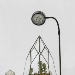 NCYP Tabletop Board USB LED Succulents Grow Light Display Indoor Terrarium For Succulents Moss -Ncyp Garden Store 20190508002 4 573d1f96 9e8a 4219 ac07 d5b4911ca8d9