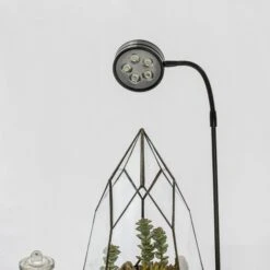 NCYP Tabletop Natural Wood Board LED Succulents Grow Light Display Indoor 2prong 7W For Geometric Glass Terrarium Succulent Fern Bonsai -Ncyp Garden Store 20190508002 4 d67361da 19e5 48b5 b24f ae8ffc2363d3