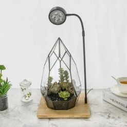 NCYP Tabletop Natural Wood Board LED Succulents Grow Light Display Indoor 2prong 7W For Geometric Glass Terrarium Succulent Fern Bonsai -Ncyp Garden Store 20190508002 5 27520602 b8c0 4916 a0bd 98b0790d1099