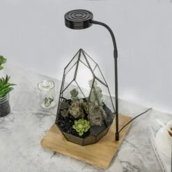 NCYP Tabletop Board USB LED Succulents Grow Light Display Indoor Terrarium For Succulents Moss -Ncyp Garden Store 20190508002 7