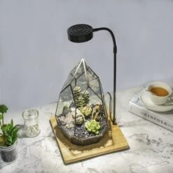 NCYP Tabletop Board USB LED Succulents Grow Light Display Indoor Terrarium For Succulents Moss -Ncyp Garden Store 20190508002 8