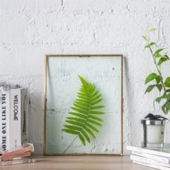 Handmade Copper Brass Wall Glass Frame With Hanging Stand Hook For Dried Flowers Specimen Clip