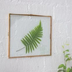 Handmade Copper Brass Wall Glass Frame With Hanging Stand Hook For Dried Flowers Specimen Clip -Ncyp Garden Store 20190619001 5 1