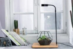 NCYP Tabletop Natural Wood Board LED Succulents Grow Light Display Indoor 2prong 7W For Geometric Glass Terrarium Succulent Fern Bonsai -Ncyp Garden Store 20190806001 1