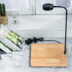 NCYP Tabletop Natural Wood Board LED Succulents Grow Light Display Indoor 2prong 7W For Geometric Glass Terrarium Succulent Fern Bonsai -Ncyp Garden Store 20190806001 2 071694f5 a27b 4894 8d80 c2dafb1d1a0d