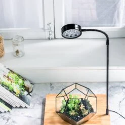 NCYP Tabletop Board USB LED Succulents Grow Light Display Indoor Terrarium For Succulents Moss -Ncyp Garden Store 20190806001 4