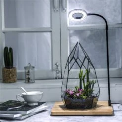 NCYP Tabletop Board USB LED Succulents Grow Light Display Indoor Terrarium For Succulents Moss -Ncyp Garden Store 20190806002 3