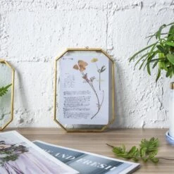 Wall Hanging Long Octagon Herbarium Brass Glass Frame For Pressed Flowers Dried Floating Frame -Ncyp Garden Store 20190905002 1