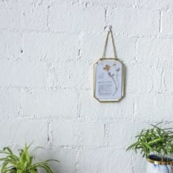 Wall Hanging Long Octagon Herbarium Brass Glass Frame For Pressed Flowers Dried Floating Frame -Ncyp Garden Store 20190905002 4
