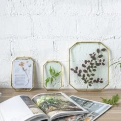 Wall Hanging Long Octagon Herbarium Brass Glass Frame For Pressed Flowers Dried Floating Frame -Ncyp Garden Store 20190905003 5