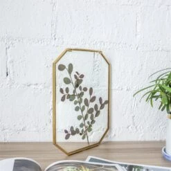 Wall Hanging Long Octagon Herbarium Brass Glass Frame For Pressed Flowers Dried Floating Frame -Ncyp Garden Store 20190905004 1