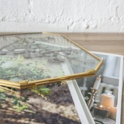 Wall Hanging Long Octagon Herbarium Brass Glass Frame For Pressed Flowers Dried Floating Frame -Ncyp Garden Store 20190905004 2