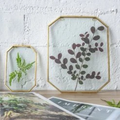 Wall Hanging Long Octagon Herbarium Brass Glass Frame For Pressed Flowers Dried Floating Frame -Ncyp Garden Store 20190905004 5