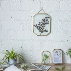 Wall Hanging Long Octagon Herbarium Brass Glass Frame For Pressed Flowers Dried Floating Frame -Ncyp Garden Store 20190905004 6