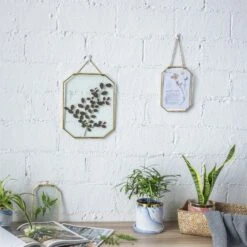 Wall Hanging Long Octagon Herbarium Brass Glass Frame For Pressed Flowers Dried Floating Frame -Ncyp Garden Store 20190905004 8