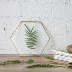 Hanging Hexagon Herbarium Brass Glass Frame For Pressed Flowers Dried Flowers Floating Frame 22 Hanging Hexagon Herbarium Brass Glass Frame For Pressed Flowers Dried Flowers Floating Frame -Ncyp Garden Store 20190905006 1