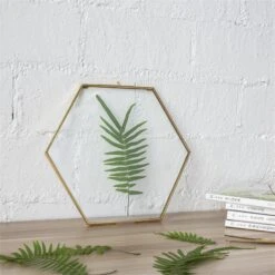 Hanging Hexagon Herbarium Brass Glass Frame For Pressed Flowers Dried Flowers Floating Frame 23 Hanging Hexagon Herbarium Brass Glass Frame For Pressed Flowers Dried Flowers Floating Frame -Ncyp Garden Store 20190905006 2