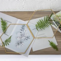 Hanging Hexagon Herbarium Brass Glass Frame For Pressed Flowers Dried Flowers Floating Frame 24 Hanging Hexagon Herbarium Brass Glass Frame For Pressed Flowers Dried Flowers Floating Frame -Ncyp Garden Store 20190905006 4