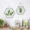 Hanging Hexagon Herbarium Brass Glass Frame For Pressed Flowers Dried Flowers Floating Frame -Ncyp Garden Store 20190905007 3