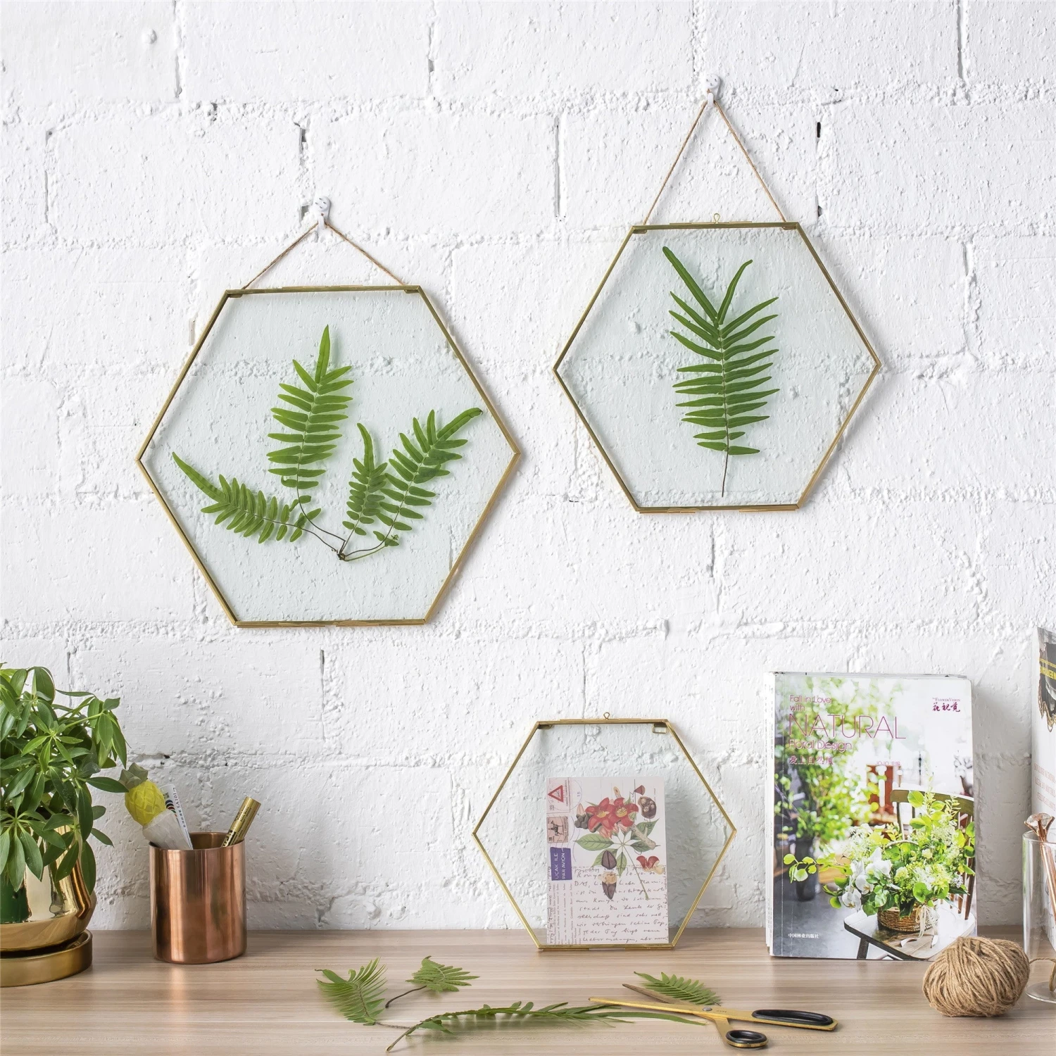 Hanging Hexagon Herbarium Brass Glass Frame For Pressed Flowers Dried Flowers Floating Frame 3 Hanging Hexagon Herbarium Brass Glass Frame For Pressed Flowers Dried Flowers Floating Frame