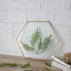 Hanging Hexagon Herbarium Brass Glass Frame For Pressed Flowers Dried Flowers Floating Frame 27 Hanging Hexagon Herbarium Brass Glass Frame For Pressed Flowers Dried Flowers Floating Frame -Ncyp Garden Store 20190905007 7